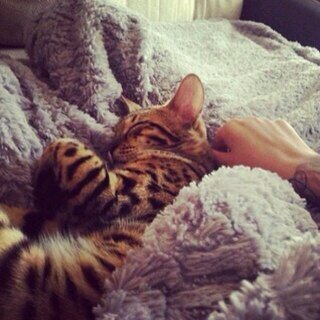 To333toooo's profile picture. ‏‏‏استغفر الله واتوب اليه .. لن النعم لا تدوم رحلت جدتي ♡:(