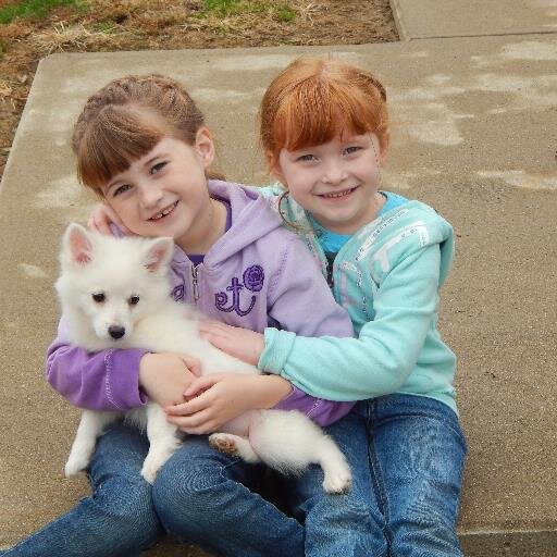 StacyWollett's profile picture. 