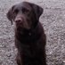 Dougal Southward (@dougalsouthward) Twitter profile photo Dougal Southward (@dougalsouthward) Twitter profile photo