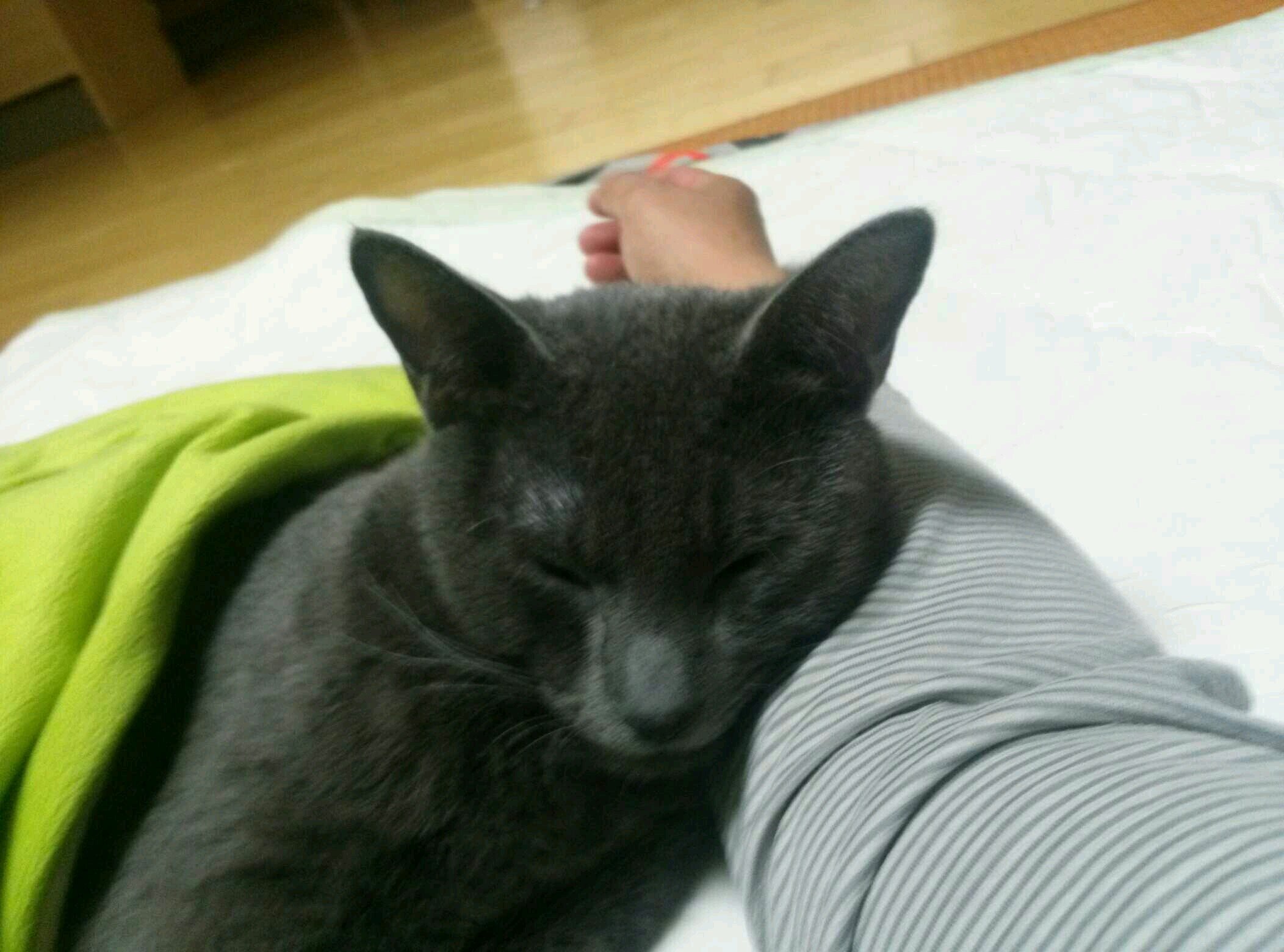 인간이 만든 최고의 구라...종교,이념(내가 한 말 아님)..넘버원을 가리기 힘듬...더 슬픈건 구라임을 인지한 사람만이 종교나 이념을 활용함....