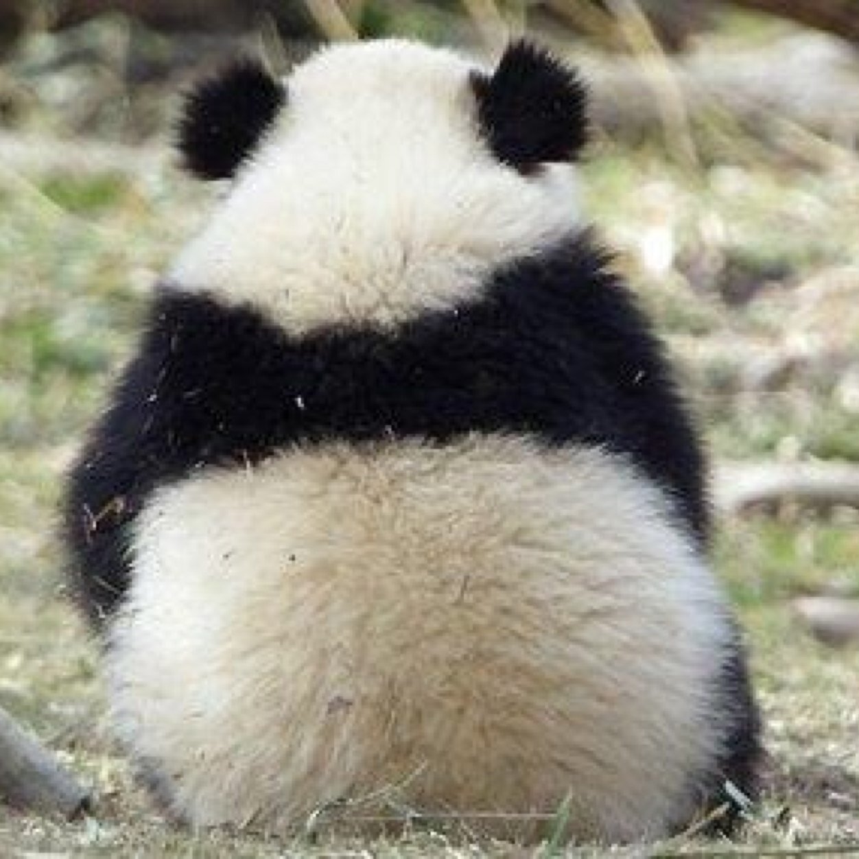 leelee_sik's profile picture. 