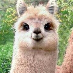 GPF2005's profile picture. フィギュアスケート観戦、世界遺産、バックパッカー、温泉、読書、オーガニックコスメ、観葉植物、無印良品。ハンヤン、コリャダ、キーガンの滑りが好み🌱