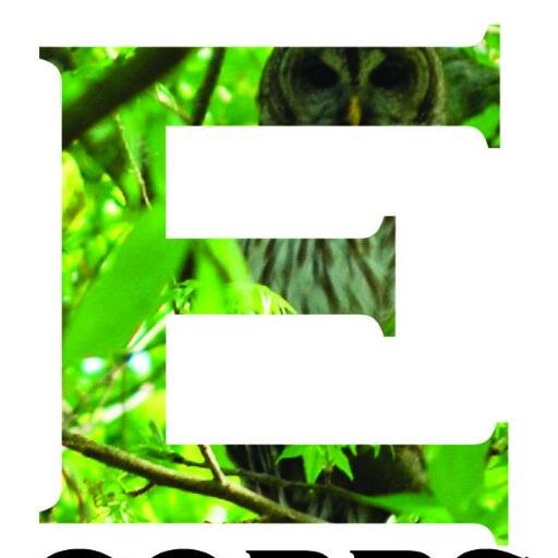 Using experiences in nature to renew, replenish, and restore ourselves.