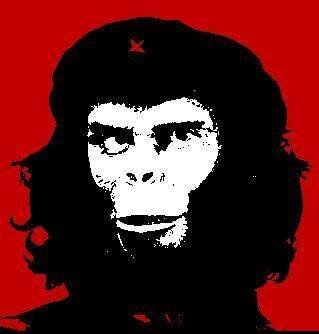 Bolsonaro 2018