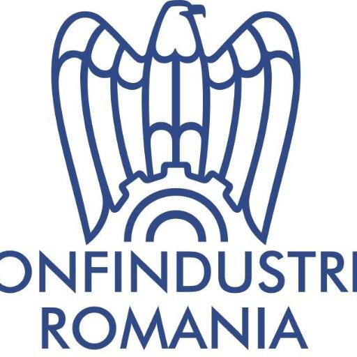 Nata nel luglio 2003 per rappresentare gli imprenditori italiani presenti in Romania. Riconosciuta come Patronato. Membro ACPR e UGIR. Referente CNPIMM