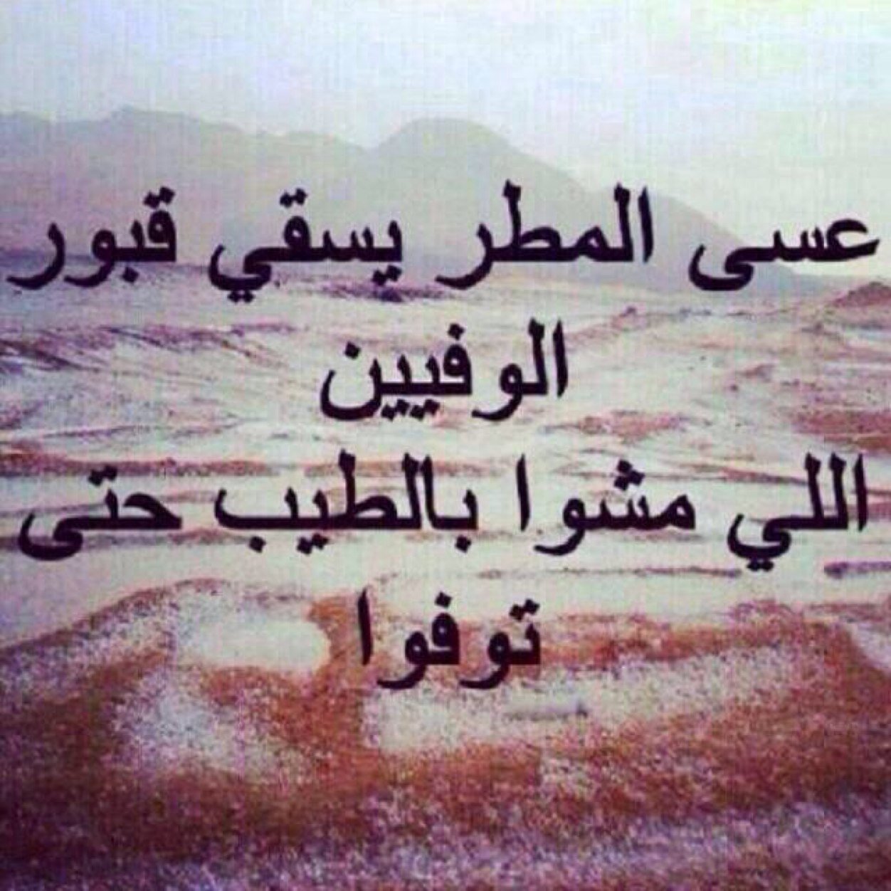 wwwMohmmddJABR's profile picture. 