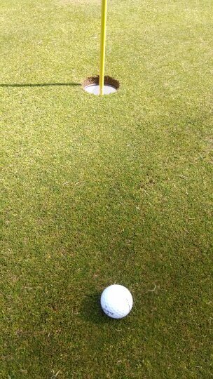 Golfvr54's profile picture. 