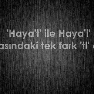 caglarermurat's profile picture. 