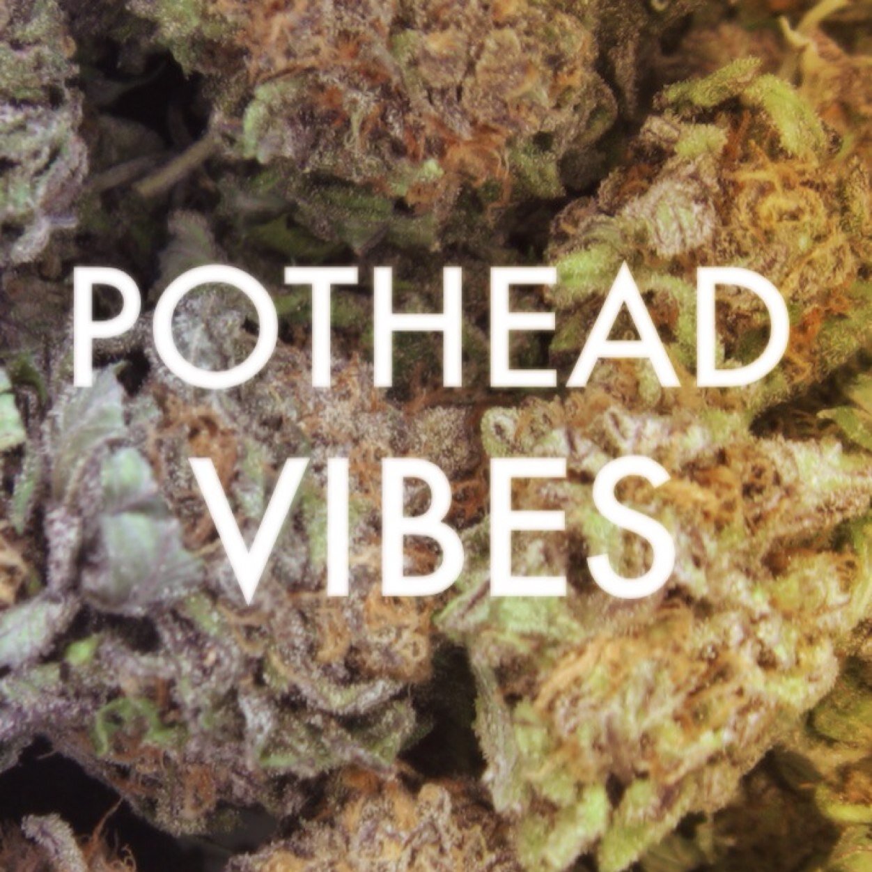 PotheadVibes's profile picture. You dont even need to favorite, just admire