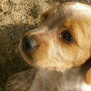 tom royer - @tomthereal - Twitter