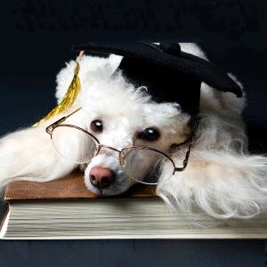 beckydbd's profile picture. 