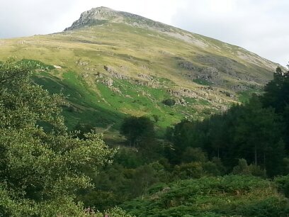 AloeWise's profile picture. Natural health, wellness & beauty :-)