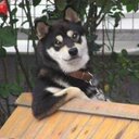 Callan Wallace - @callanfw - Twitter