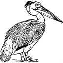 James Grayson - @Zozelli - Twitter