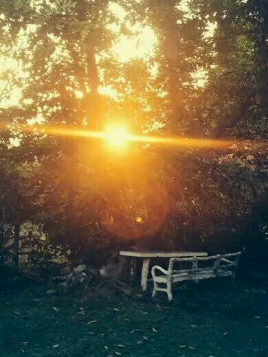 TrueSelfCentre's profile picture. TrueSelf Centre of Being is a peacefull community space offering healing practices in Kingston Jamaica.