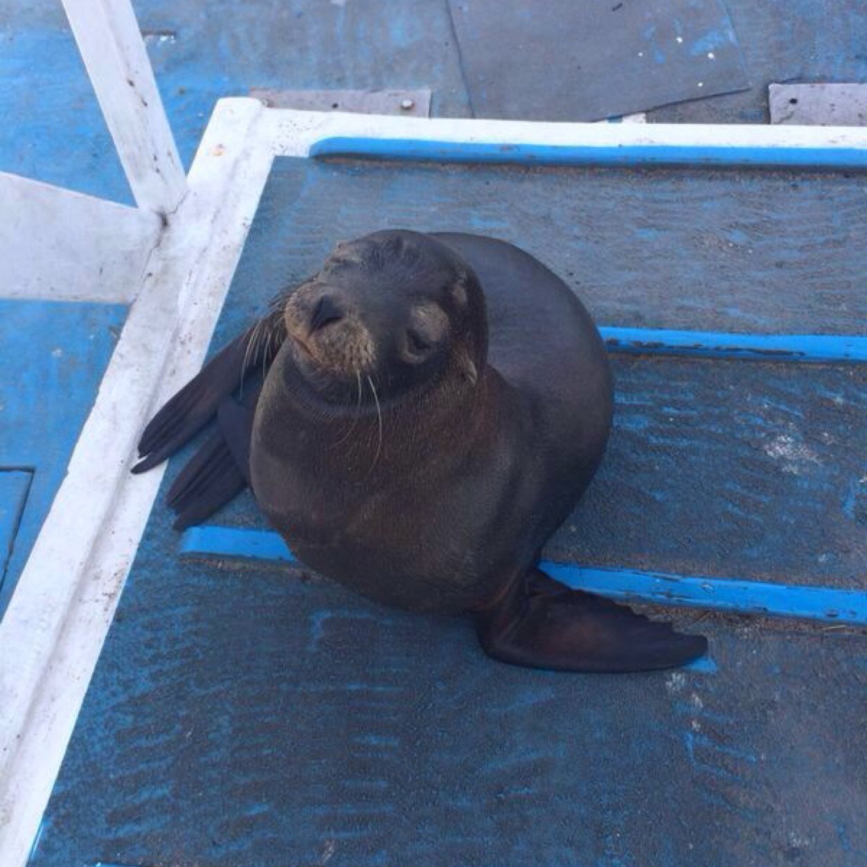 JasonStrickla18's profile picture. 