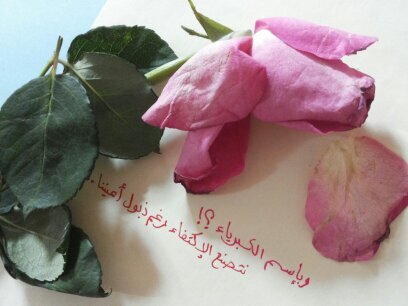 ‏‏‏‏‏‏لا إله إلا أنت .. سبحانك إني كنت من الظالمين .