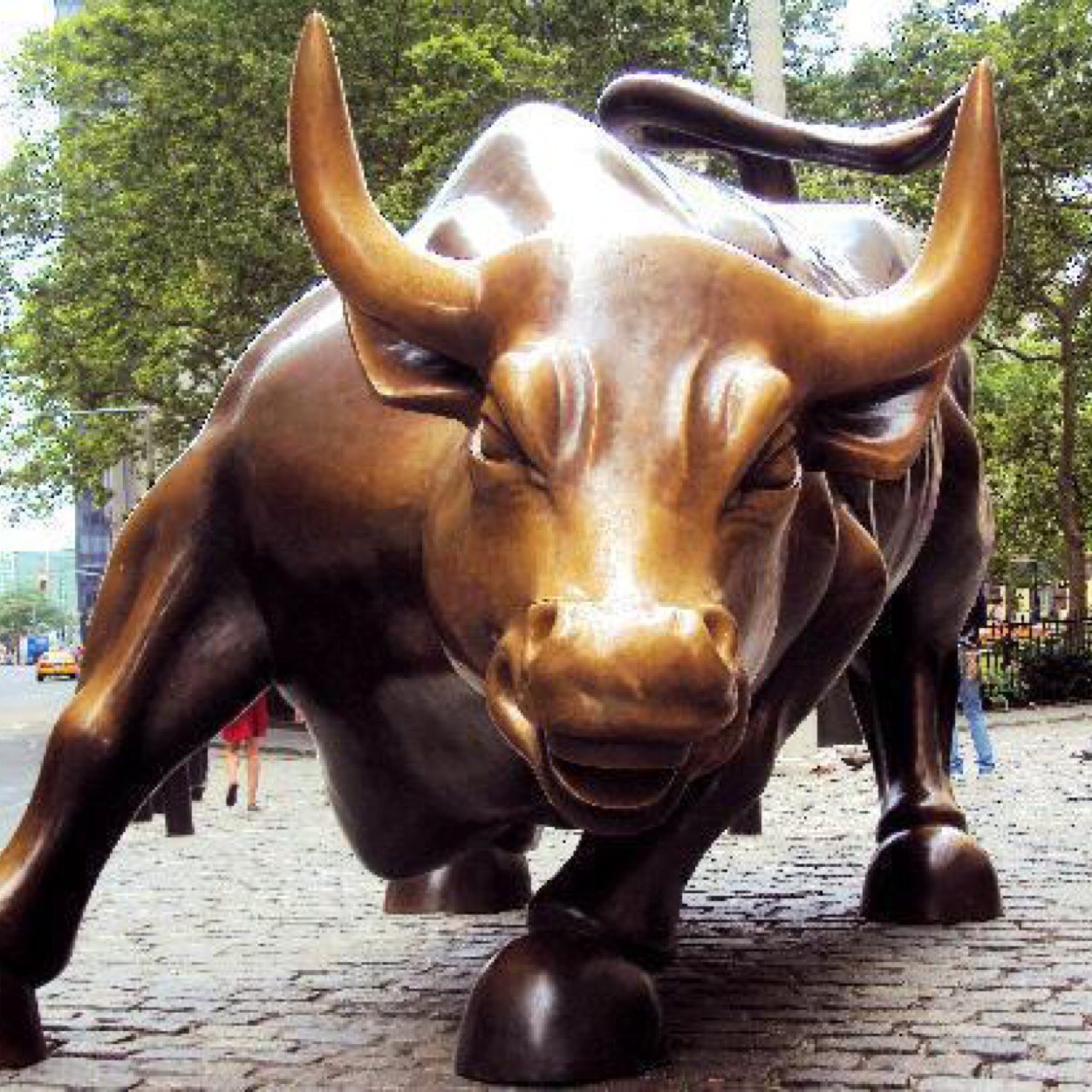 Day Trader at the NYSE ! All tweets are solely my opinion not financial advice. Do your due diligence. Do not use for investment decisions.