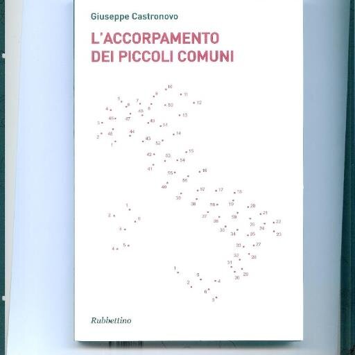 Laurea in Giurisprudenza e Sc. Politiche Autore de L'accorpamento dei Piccoli Comuni Ed. Rubbettino . Scritti sulla corruzione e Riforme cost.li e amm.ve