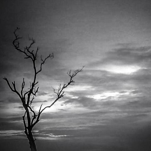 labah2man's profile picture. aku lah spiderman