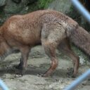 Ivan robledo - @ivanrobledo253 - Twitter