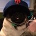 John Falcetti (@falcore000) Twitter profile photo
