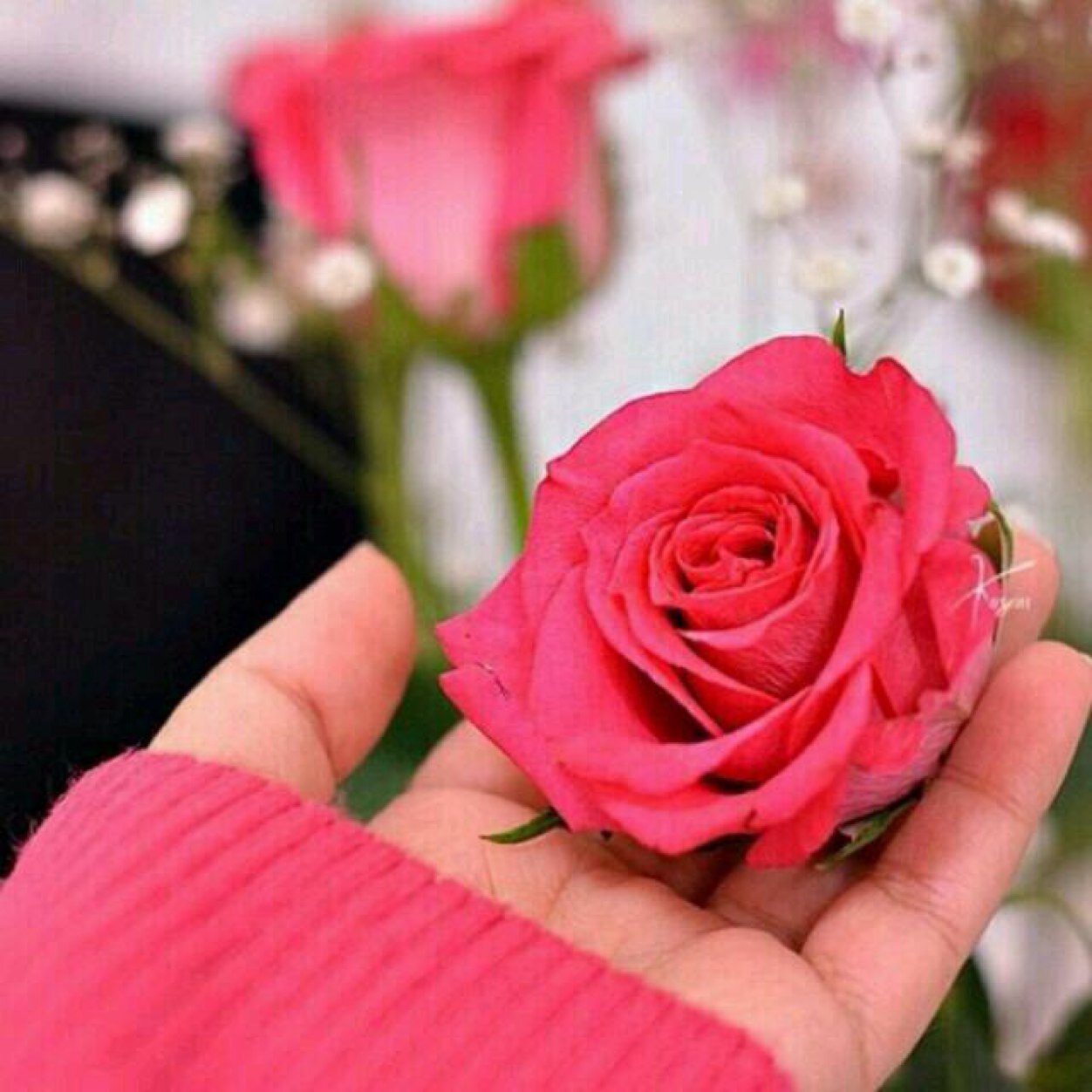 alyahyaay's profile picture. (لا إله إلا الله)❤