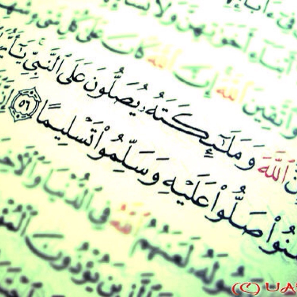اللهم صل على محمد وعلى آل محمد كما صليت على إبراهيم وعلى آل إبراهيم إنك حميد مجيد