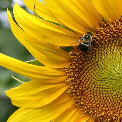 nimue173's profile picture. Easily amused. Loves learning, gaming, TV, movies, & saving money. Huge fan of delicious flavor.