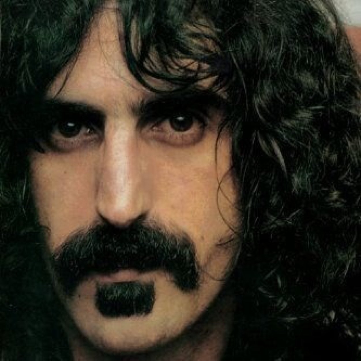 grebaldier's profile picture. مطلق/ابلغ من العمر الثلاثين