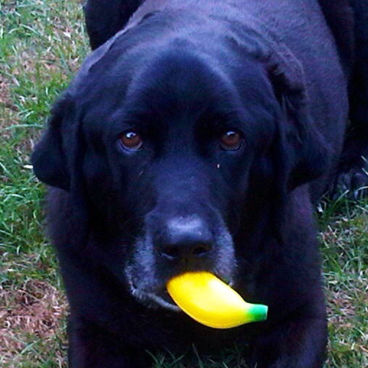 tills_hills's profile picture. *all views are my own*