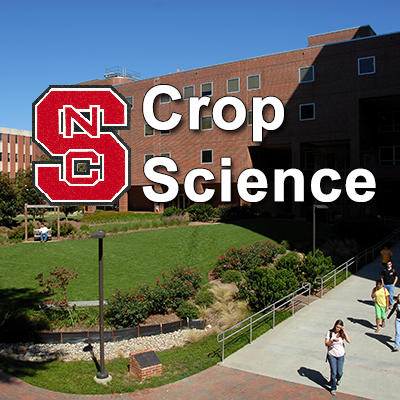 The Department of Crop Science at NC State University.
Research, Extension and Teaching related to the improvement of North Carolina