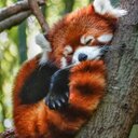 Peter Heaton - @PlheatoPeter - Twitter