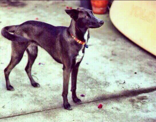 anonimousquiet's profile picture. 