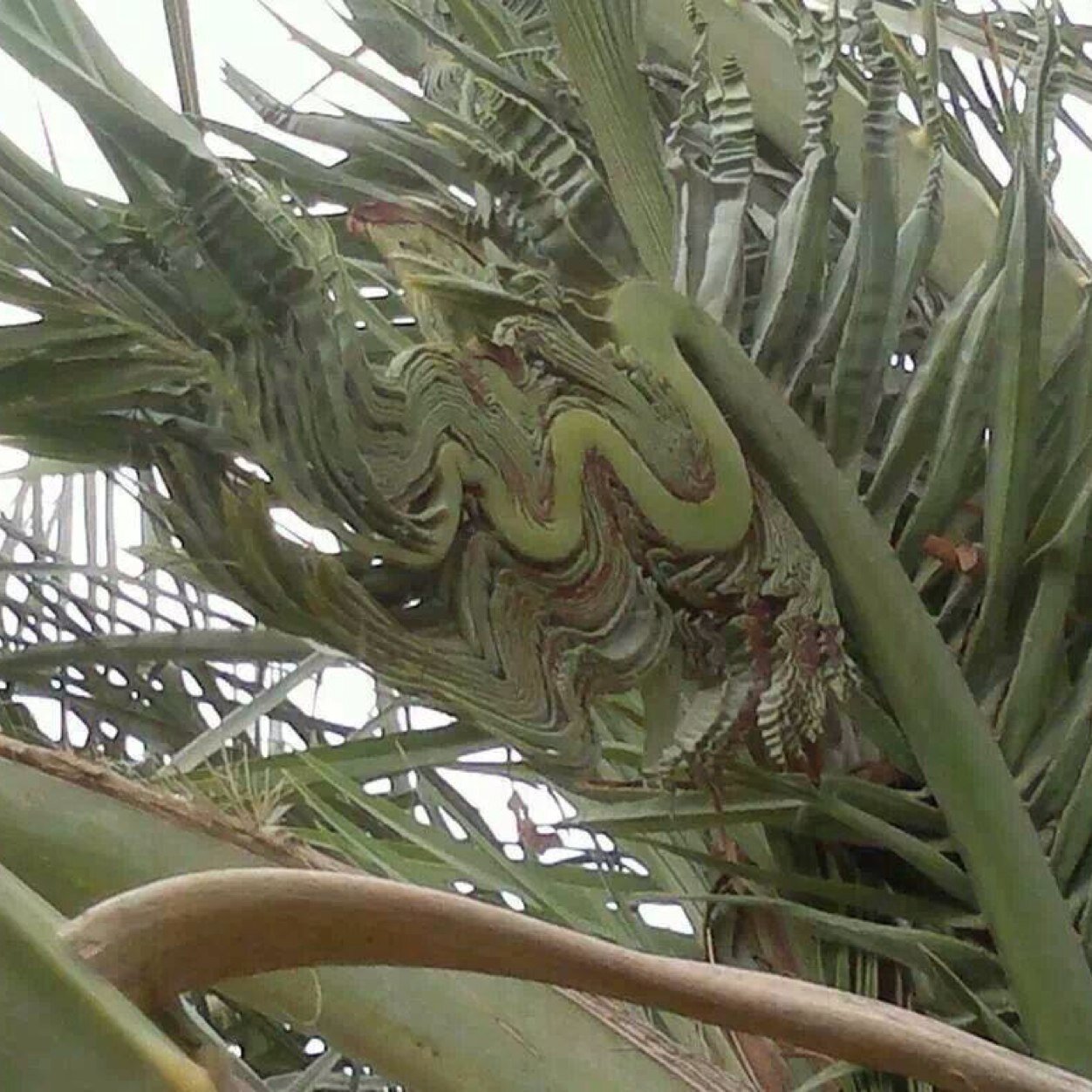 memo86625248's profile picture. Who are you ? Just who know me !!!