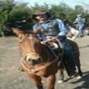 Rex Morrison - @countrycowboy56 - Twitter