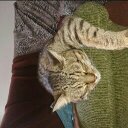 Peter Ernst - @eyeopenerbikesp - Twitter