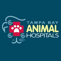 Tampa Bay Vets (@tampabayvets) 's Twitter Profile