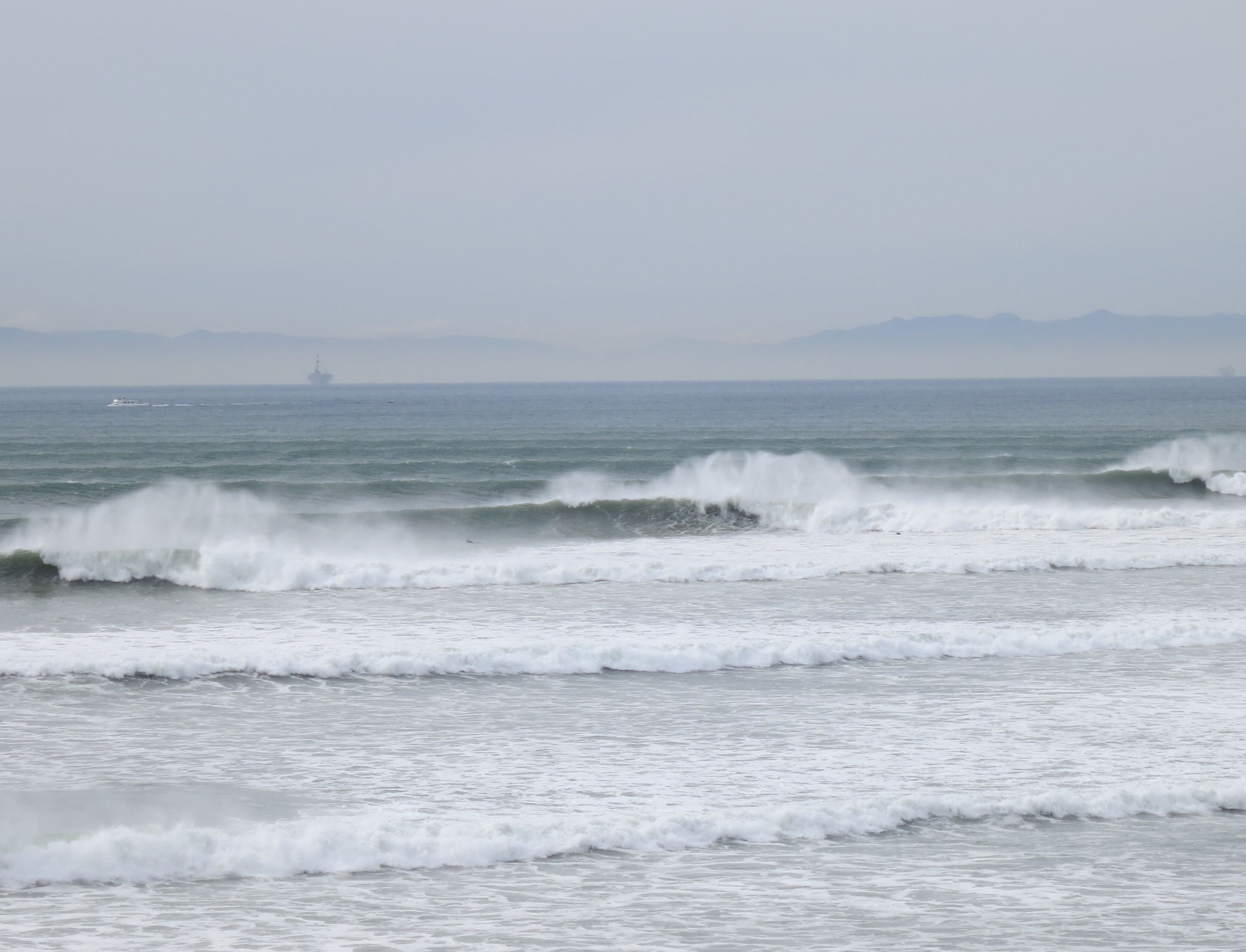 johnny_surf_rat's profile picture. surf, surf, surf!