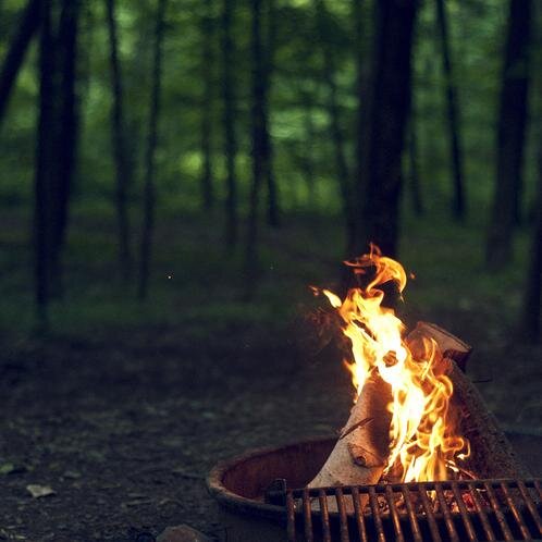 baselearn's profile picture. a child educated only at school is an uneducated child.