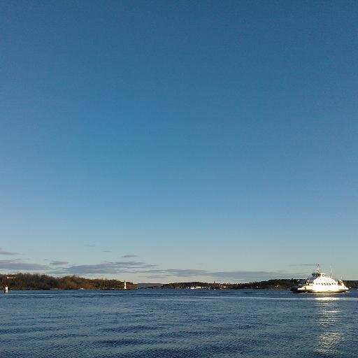 SandraTFer's profile picture. 