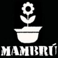 Mambrú Desobedece(@mambruMOC) 's Twitter Profile Photo