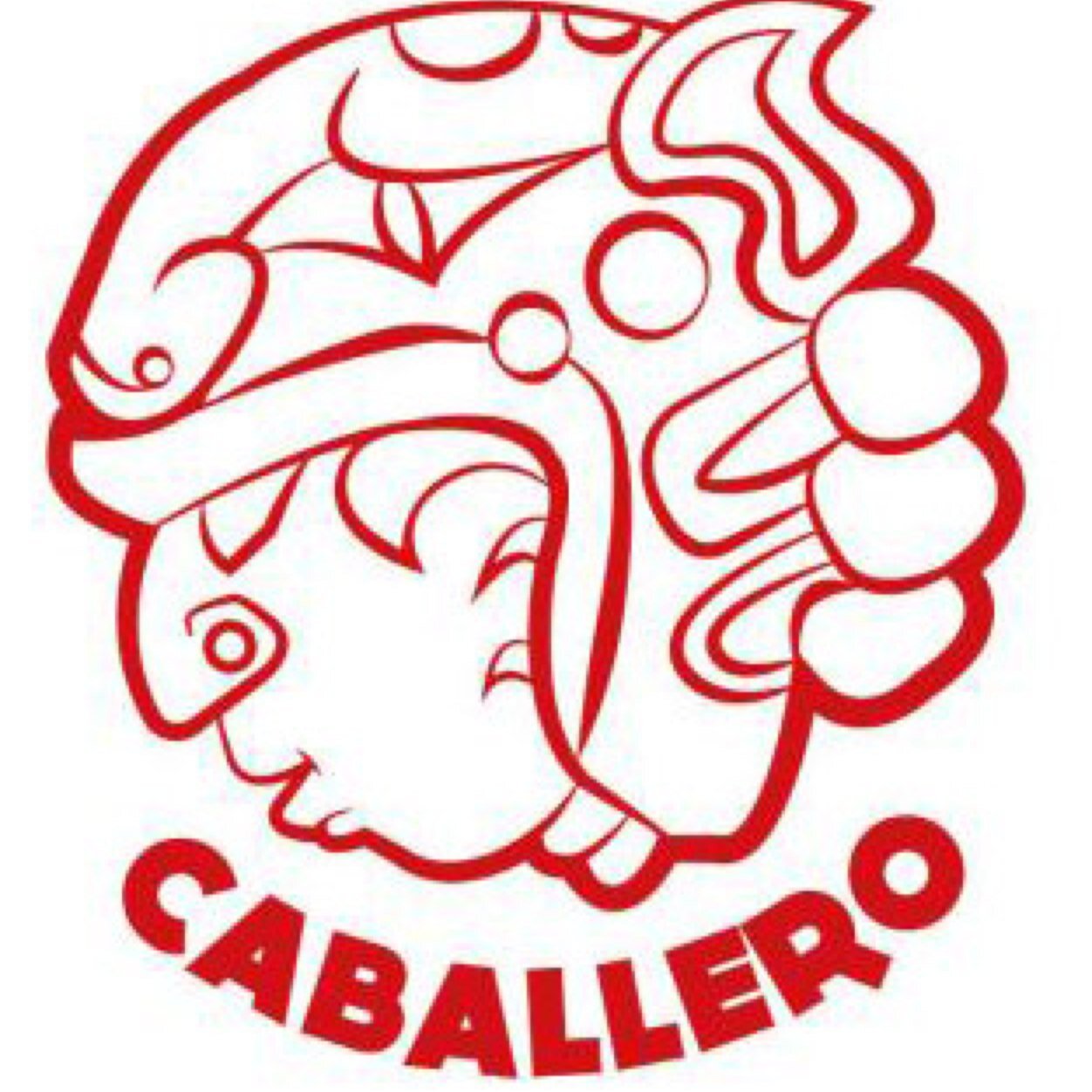 Rock Mexicano de potencia independiente, alma creadora y cuerpo rebelde. Somos la voz del que no la tiene.