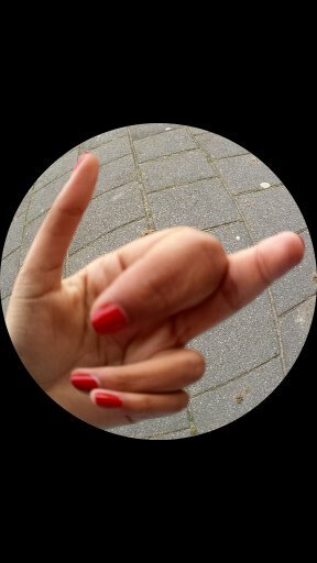 LifeWithMarten's profile picture. 