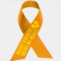 Children of Vietnam Veterans Health Alliance (@covvha) Twitter profile photo