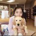 Yao Dong (@yaodong_nov) Twitter profile photo Yao Dong (@yaodong_nov) Twitter profile photo