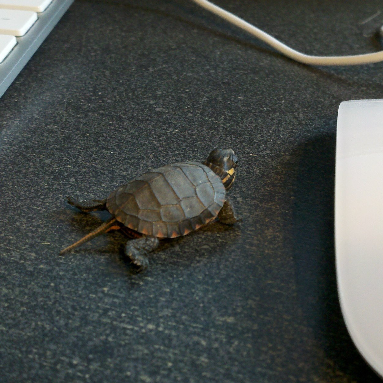 datastage2000's profile picture. 