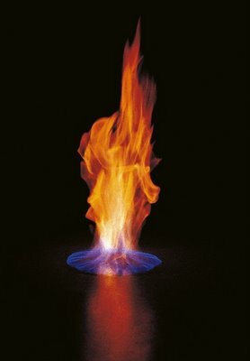 coke45x's profile picture. !