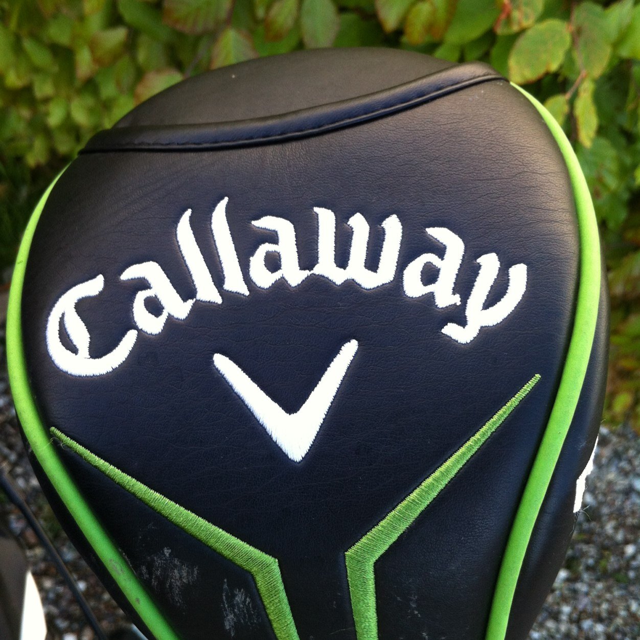 Natachahost's profile picture. Golf=life! #golfforever