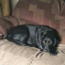 Michael Winterton - @winterton71 - Twitter